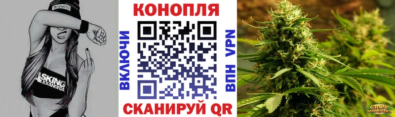 Где продают наркотики Владимир Марихуана  Кокаин  Псилоцибиновые грибы  МЕФ  СОЛЬ 