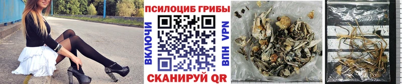 Псилоцибиновые грибы мухоморы  Владимир 